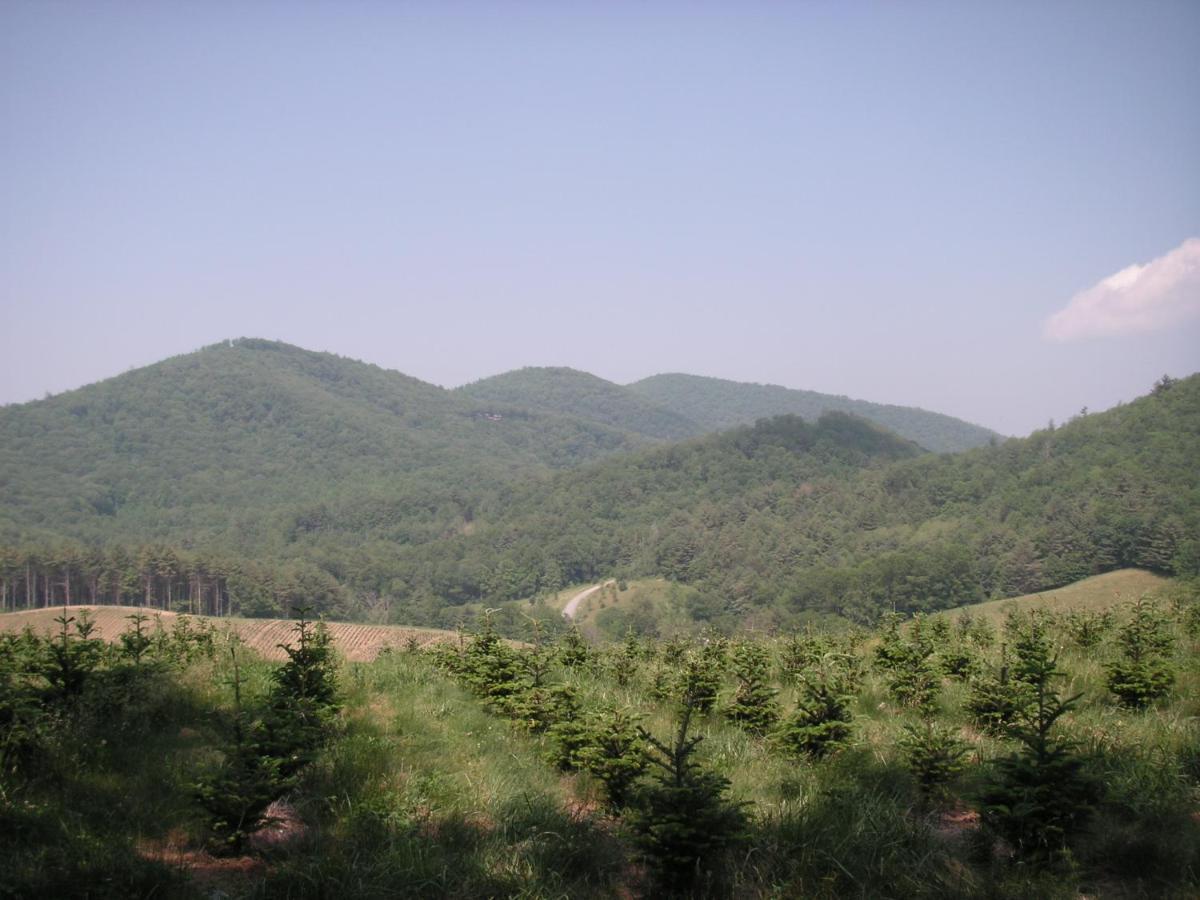 Arrowmont Stables & Cabins Cullowhee Экстерьер фото