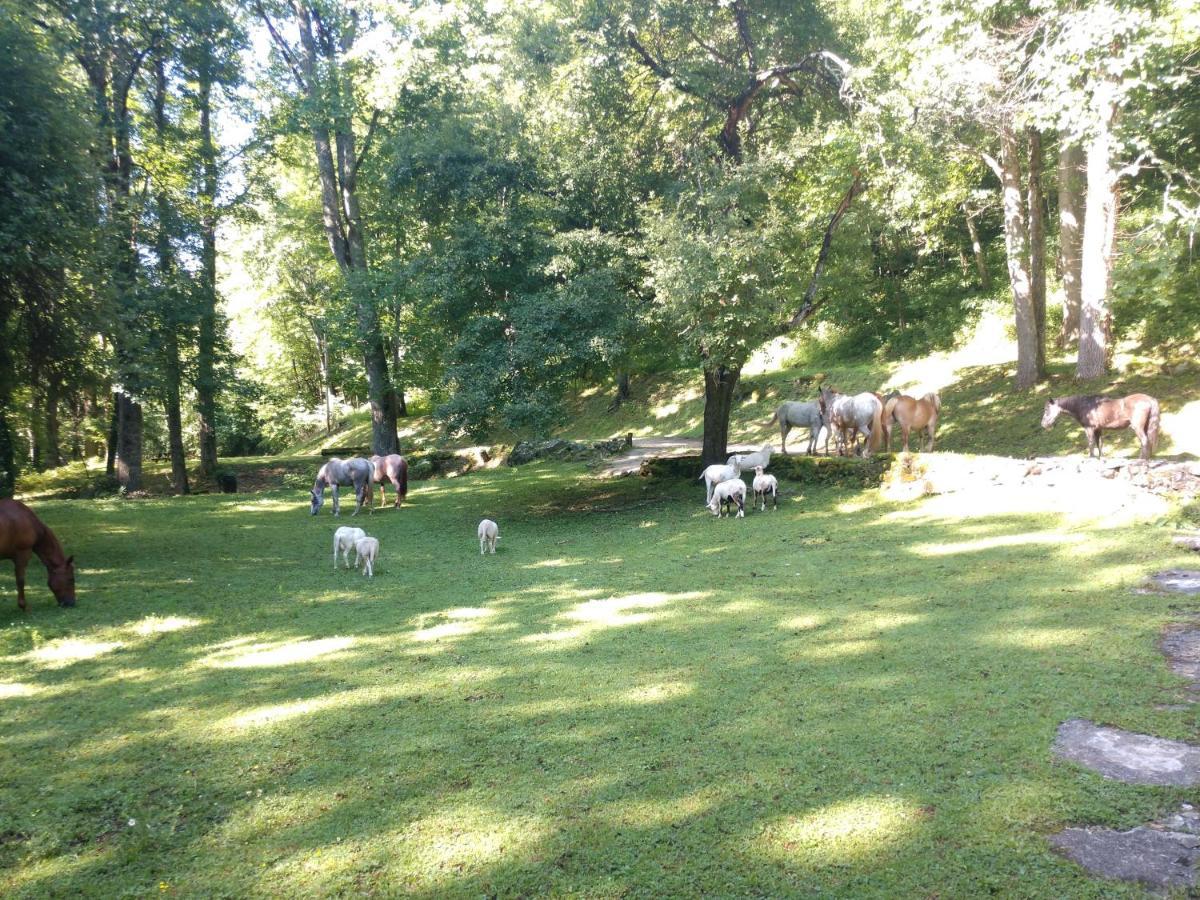 Arrowmont Stables & Cabins Cullowhee Экстерьер фото