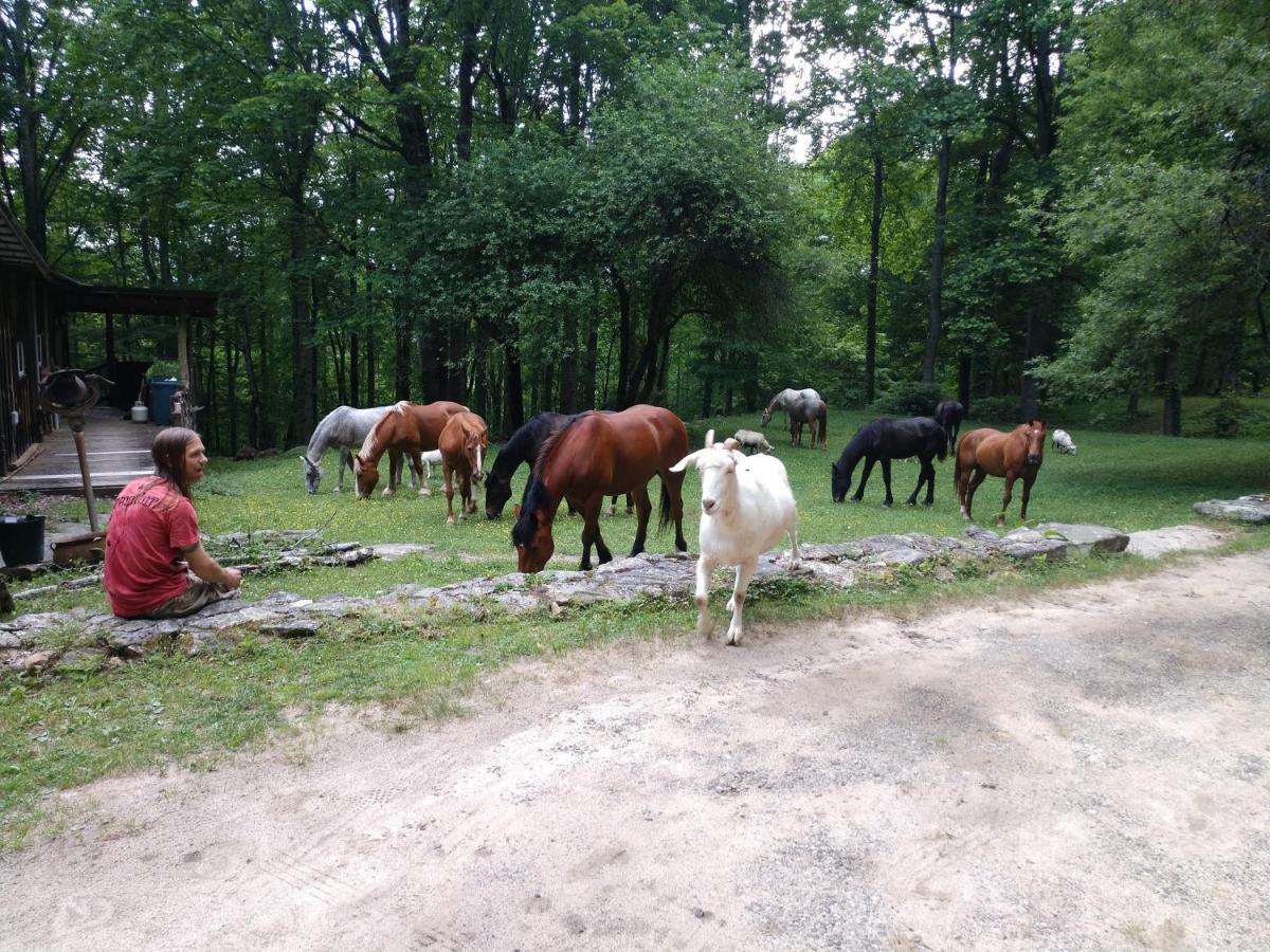 Arrowmont Stables & Cabins Cullowhee Экстерьер фото