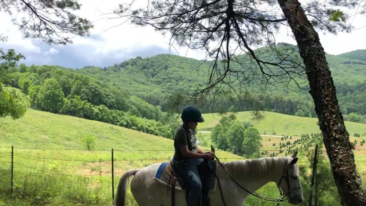 Arrowmont Stables & Cabins Cullowhee Экстерьер фото