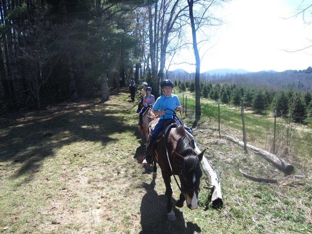 Arrowmont Stables & Cabins Cullowhee Экстерьер фото